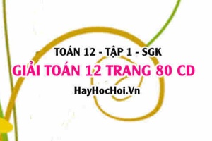 Giải Toán 12 trang 80 tập 1 Cánh Diều